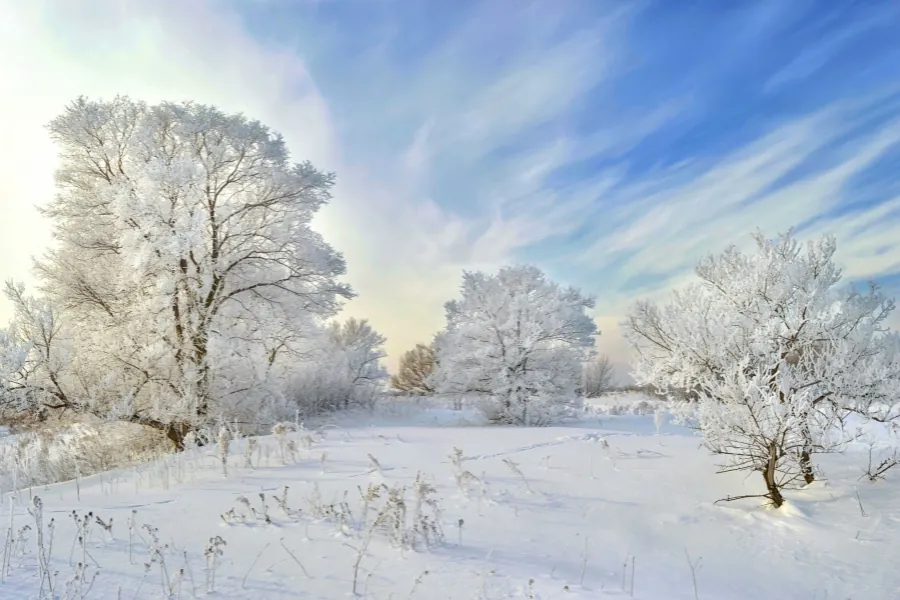 Winter idioms - winter wonderland